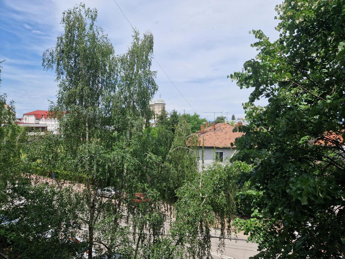 Cozy Appartment In The Center Тырговиште Экстерьер фото